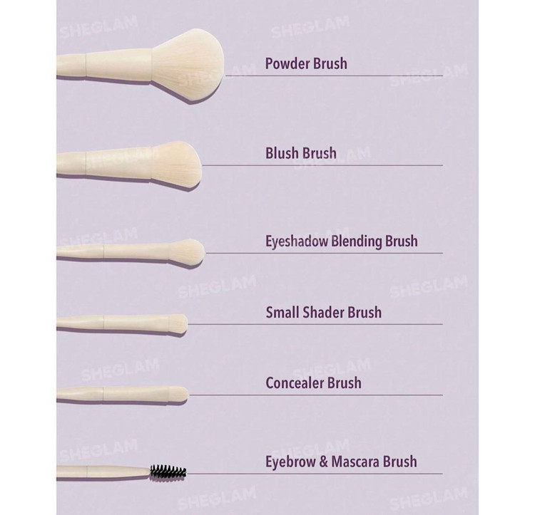 ست براش 6 عددی چشم و صورت شیگلم SHEGLAM 6PCS