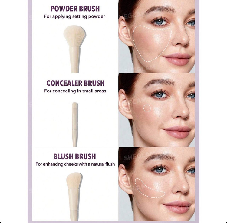 ست براش 6 عددی چشم و صورت شیگلم SHEGLAM 6PCS